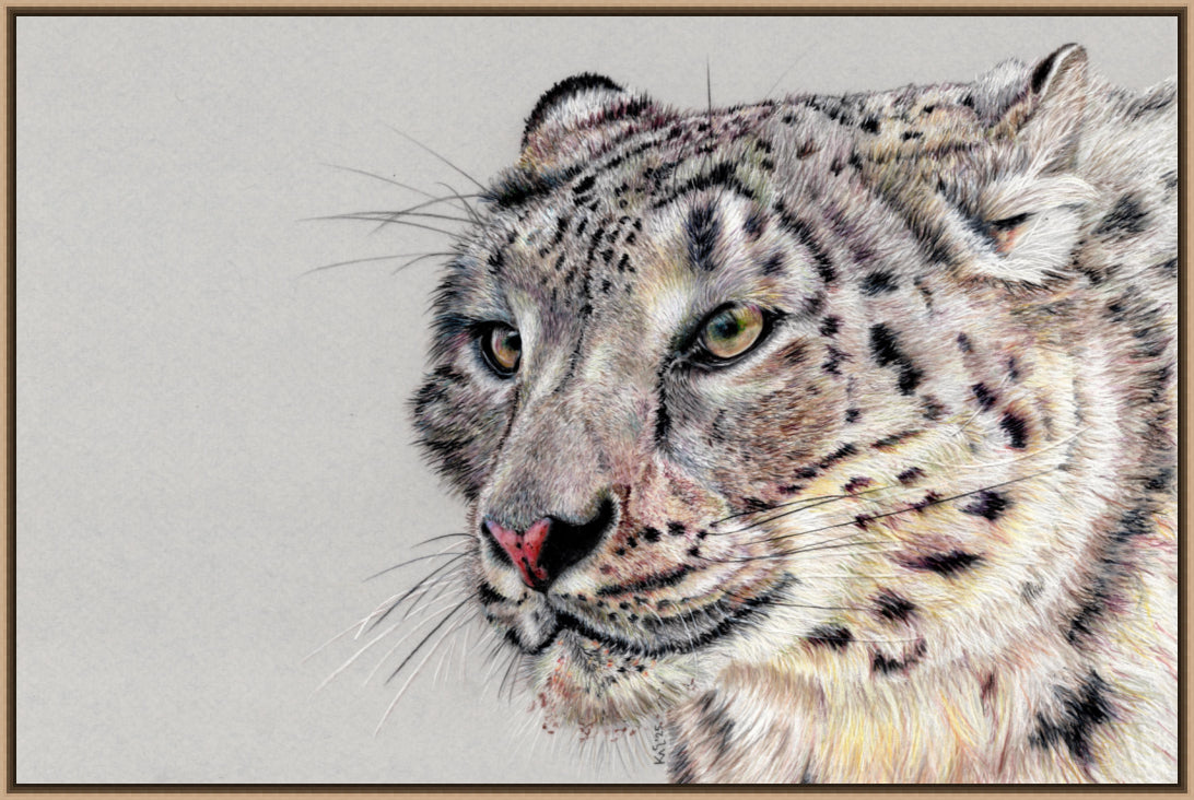 "Adaptation" Canvas Print