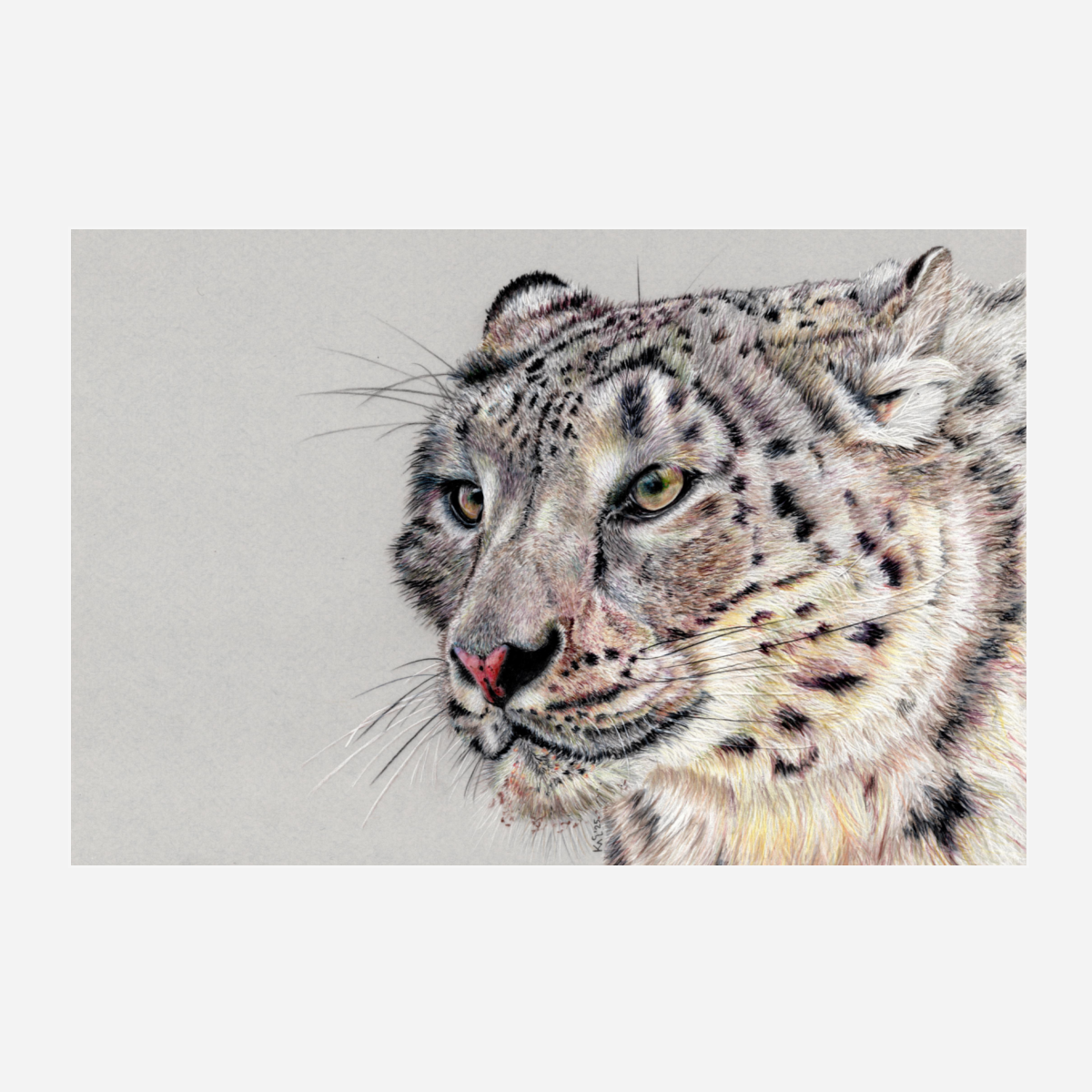 "Adaptation" Canvas Print