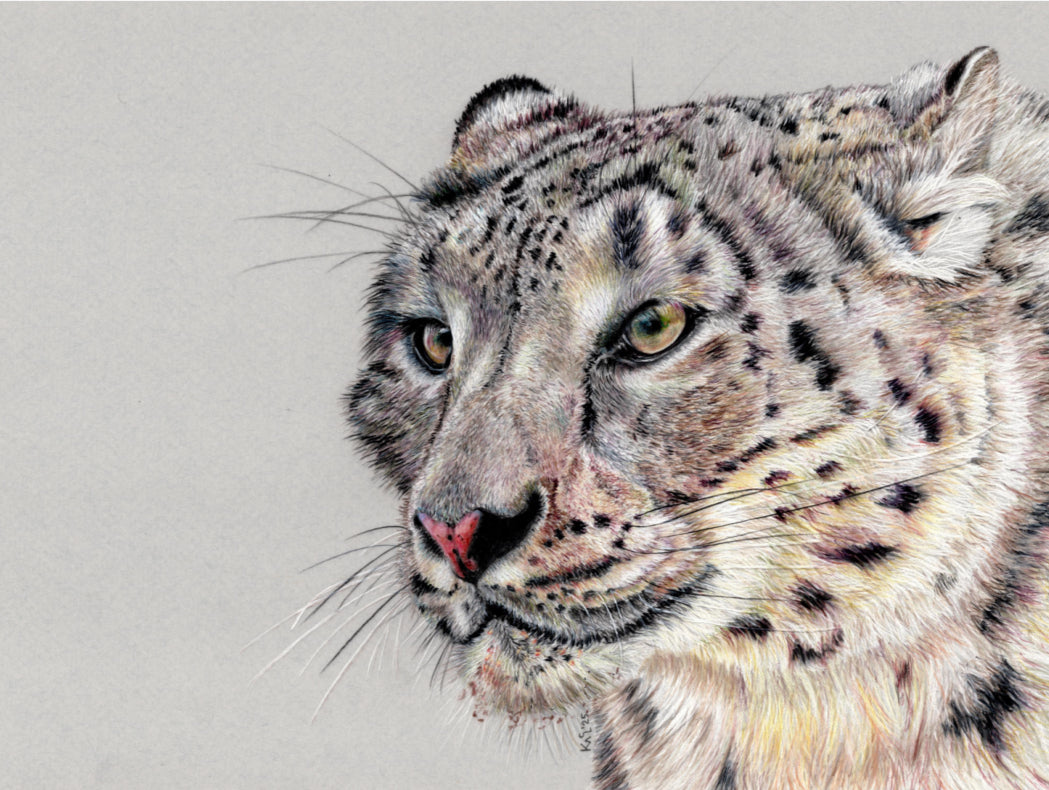 "Adaptation" Canvas Print