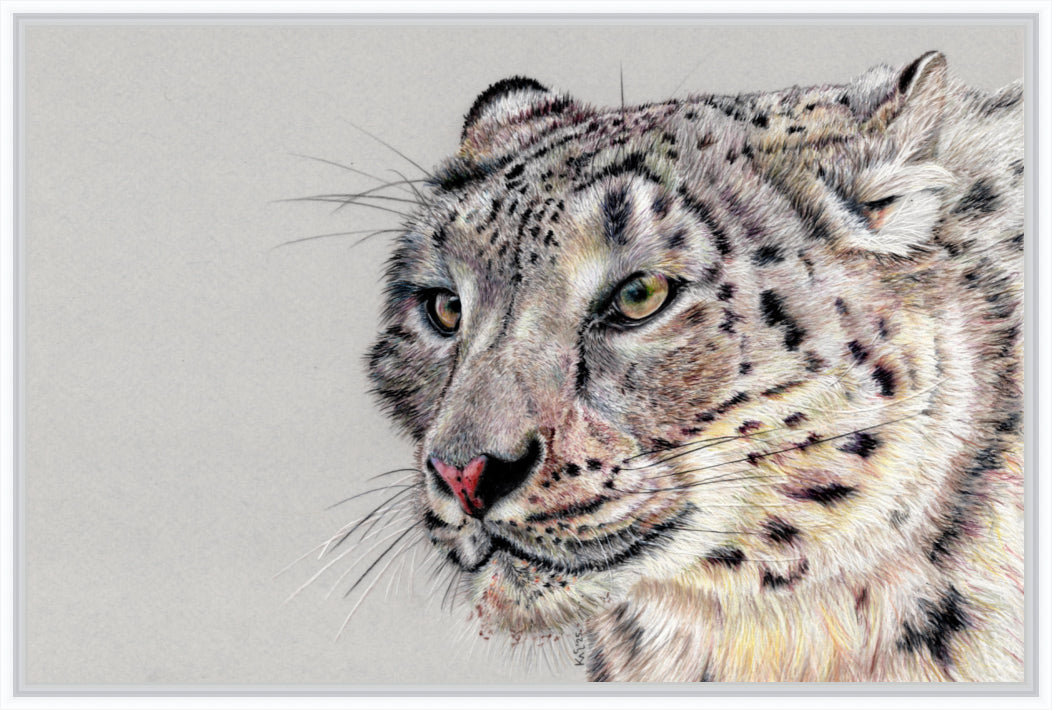 "Adaptation" Canvas Print