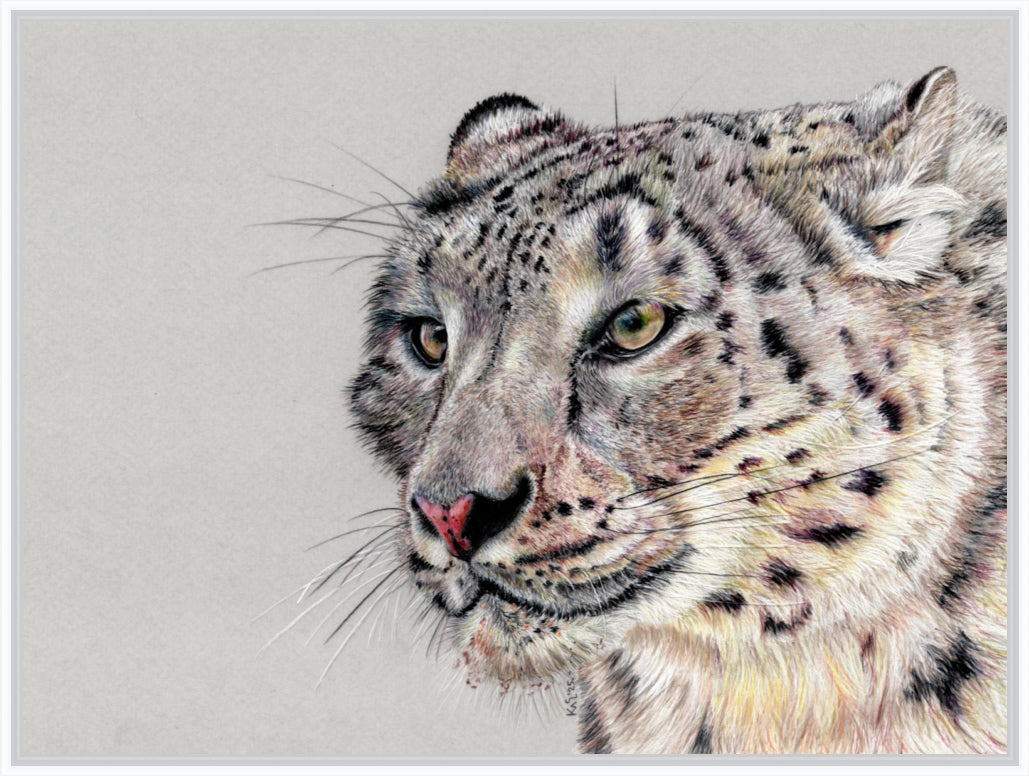 "Adaptation" Canvas Print