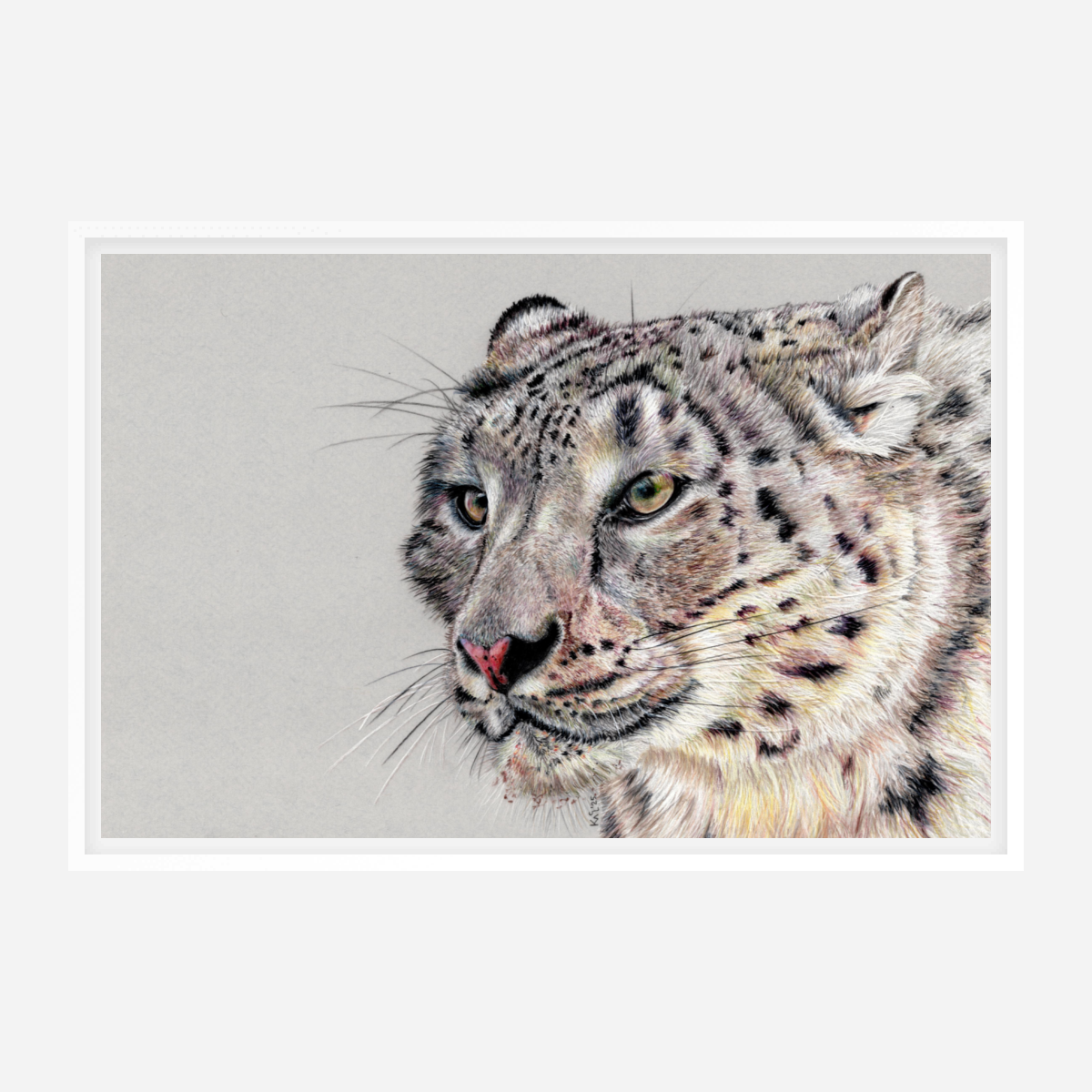 "Adaptation" Canvas Print