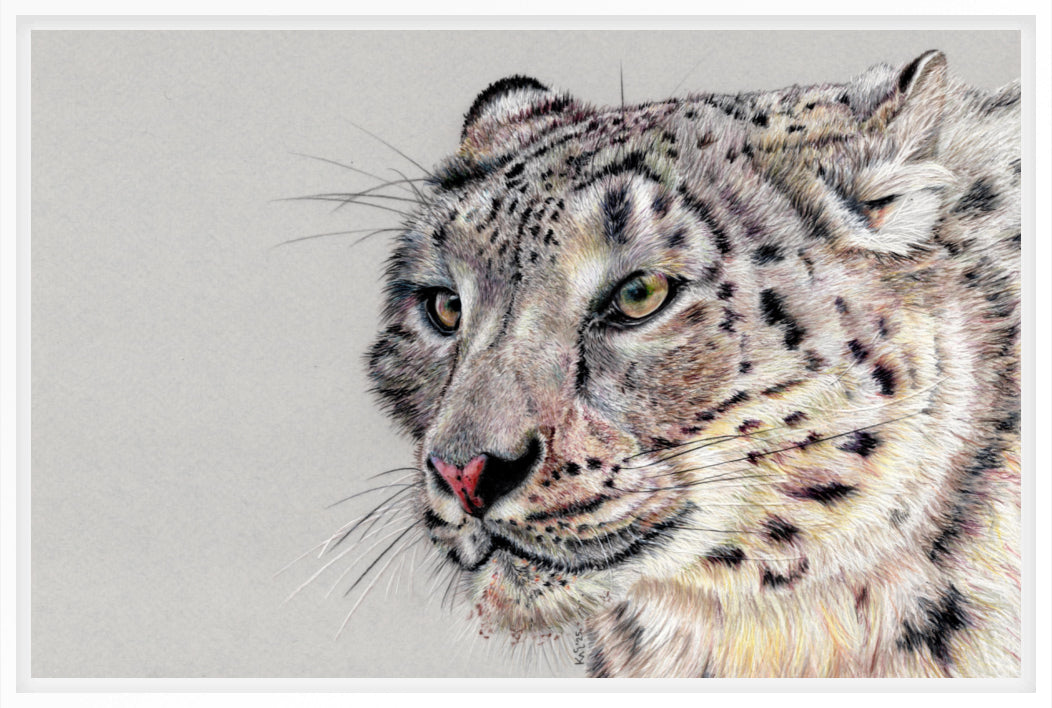 "Adaptation" Canvas Print