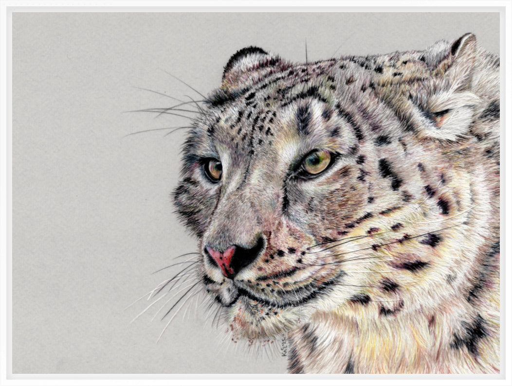 "Adaptation" Canvas Print