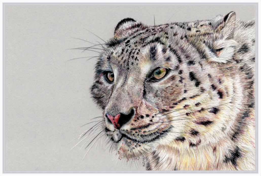 "Adaptation" Canvas Print