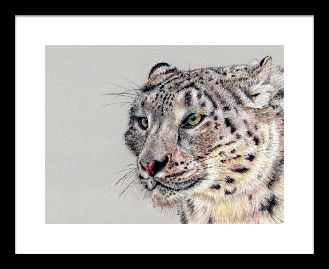 "Adaptation" Framed Fine Art Print