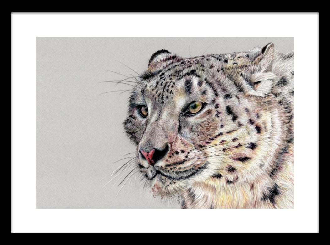 "Adaptation" Framed Fine Art Print