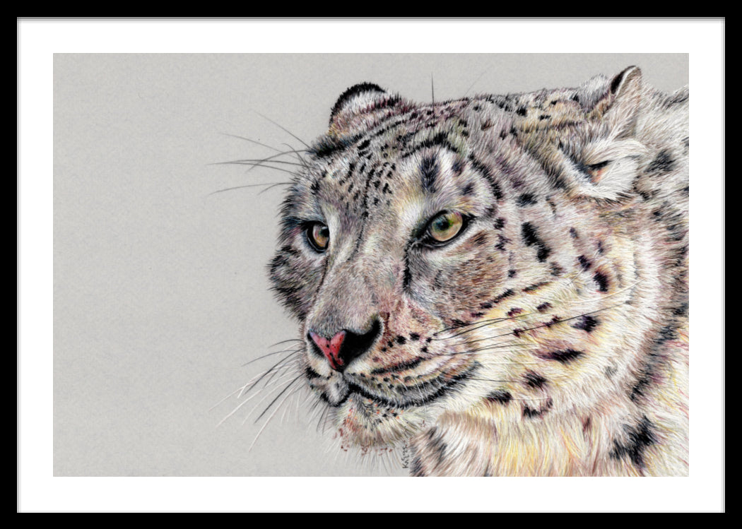 "Adaptation" Framed Fine Art Print