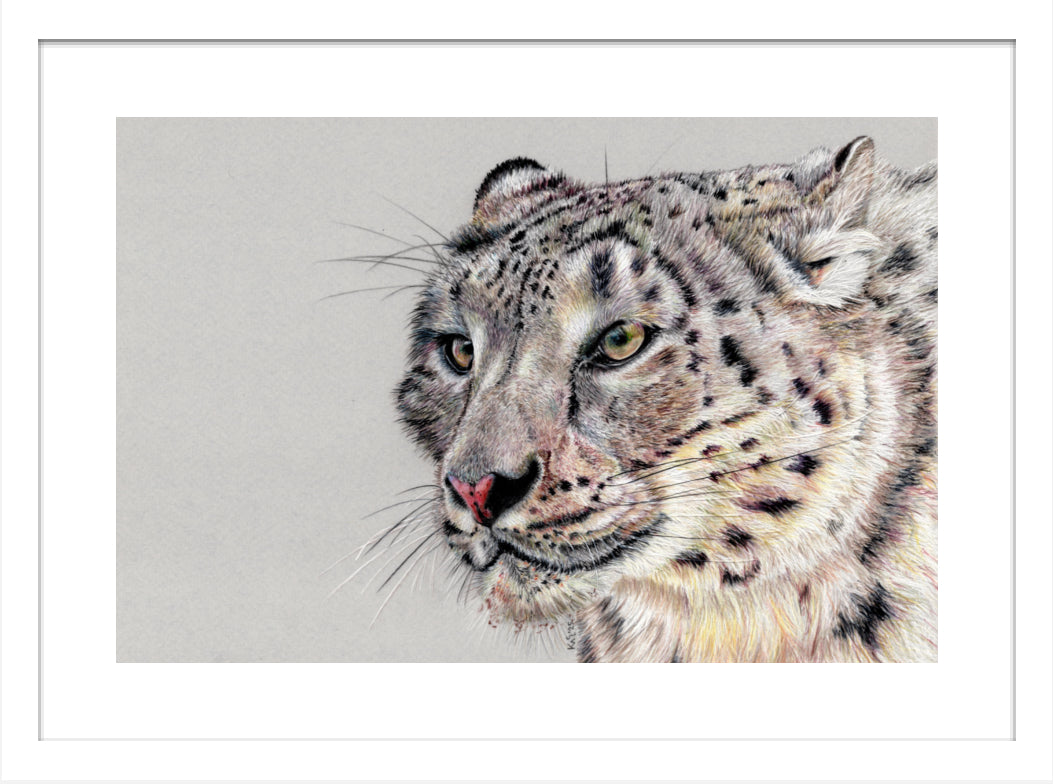 "Adaptation" Framed Fine Art Print