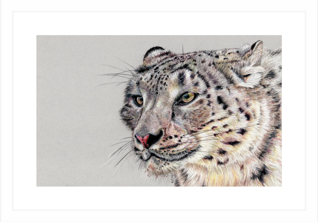 "Adaptation" Framed Fine Art Print