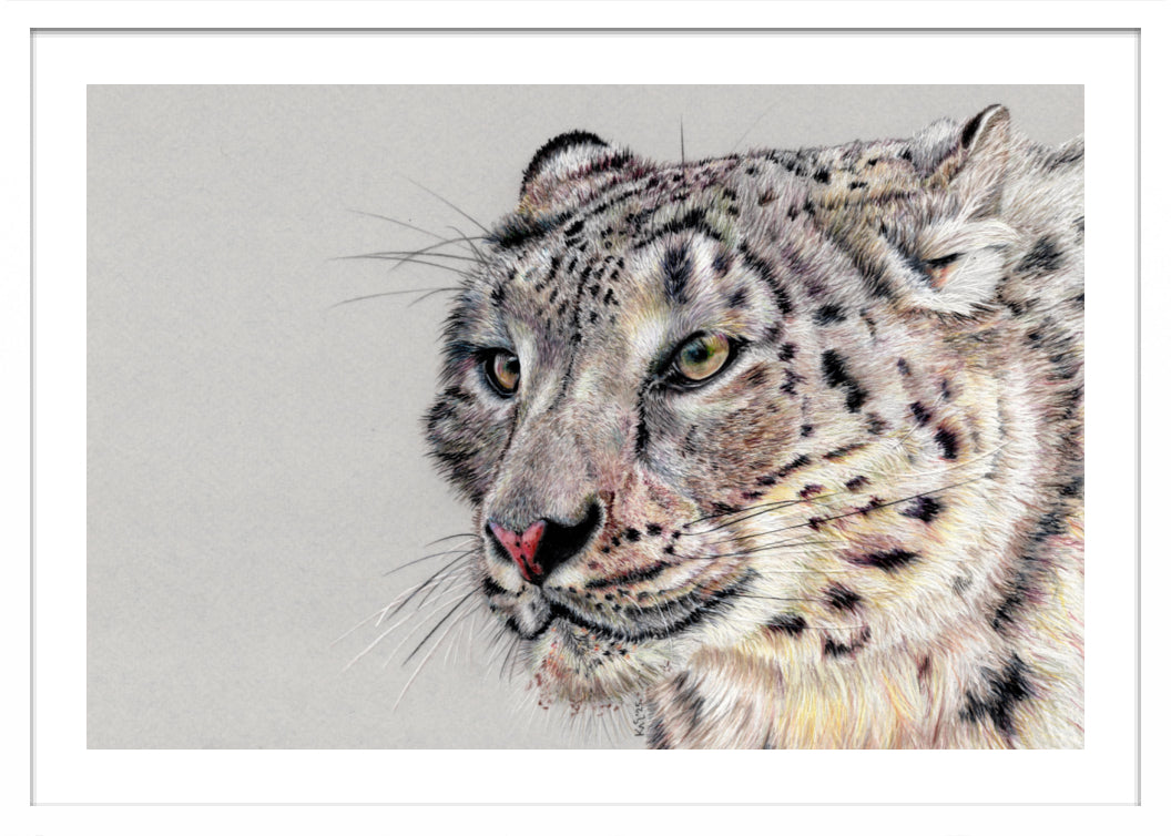 "Adaptation" Framed Fine Art Print