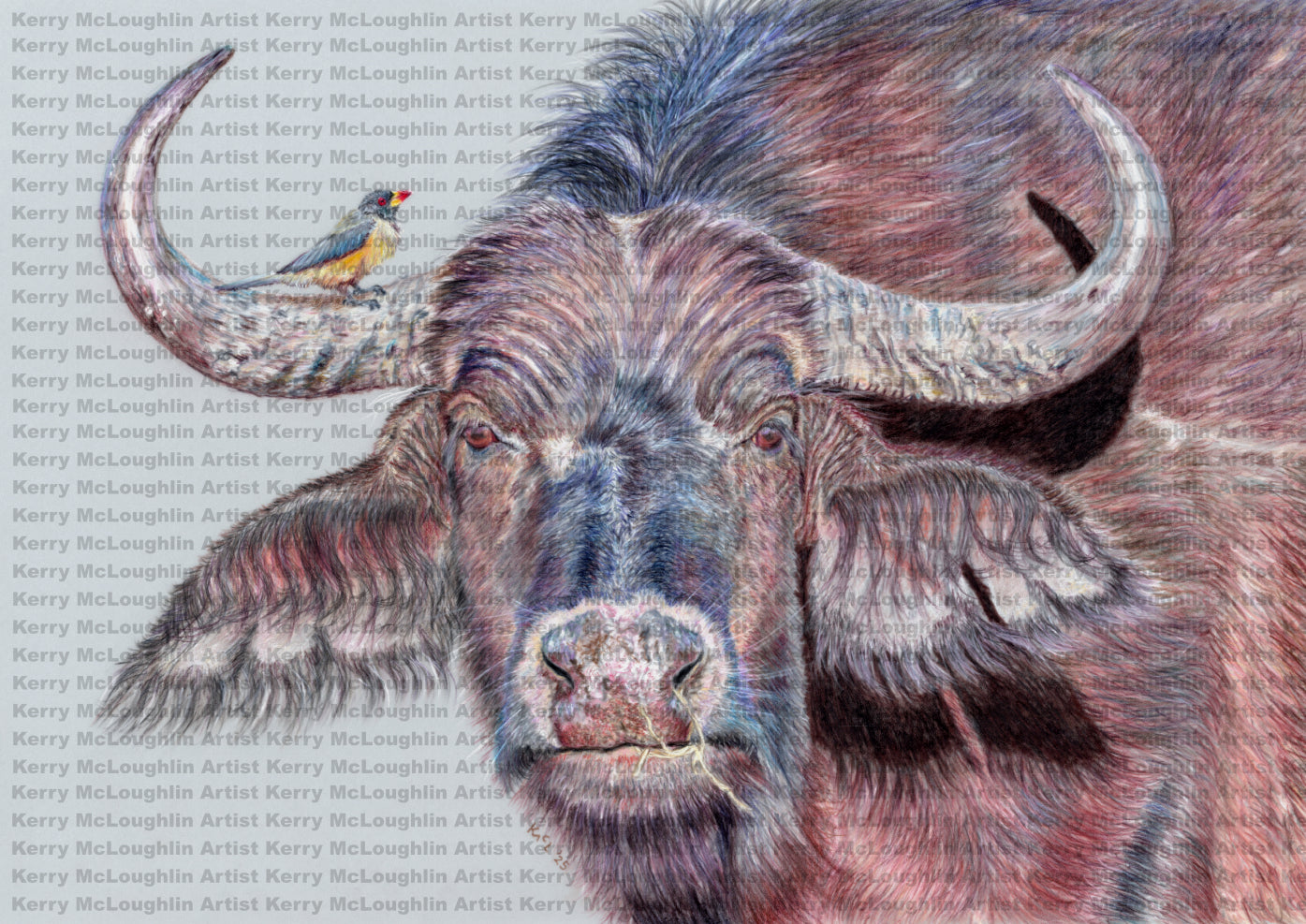 "Hitchhiker" Framed Fine Art Print