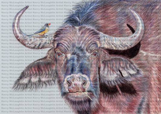 "Hitchhiker" Framed Fine Art Print