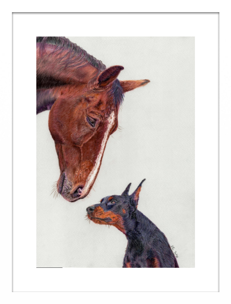 "Aspirations" Framed Fine Art Print