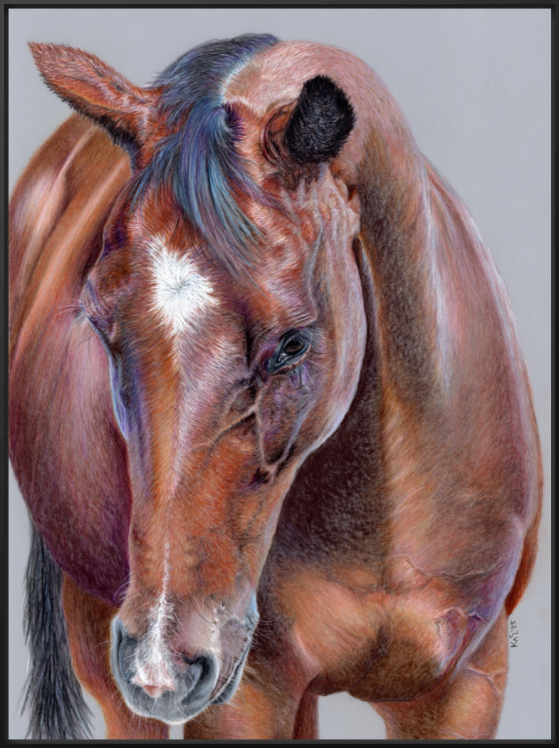 "Beauty At Bay" Canvas Print