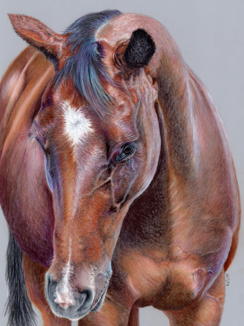 "Beauty At Bay" Canvas Print