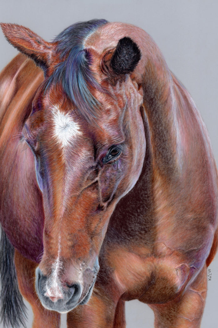 "Beauty At Bay" Canvas Print