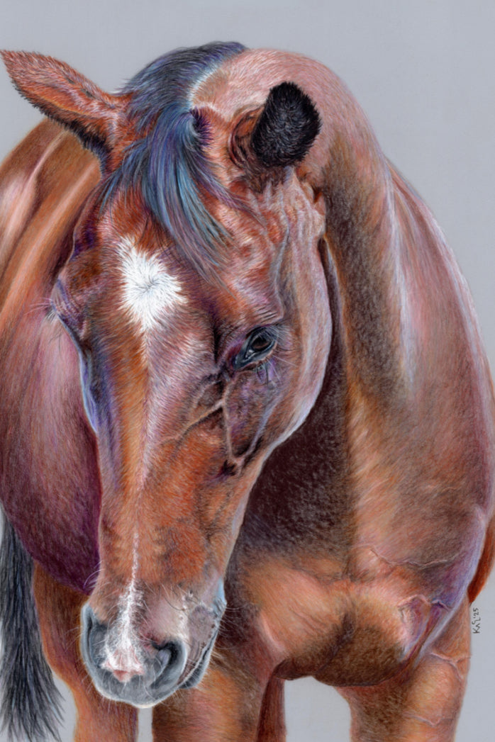 "Beauty At Bay" Canvas Print