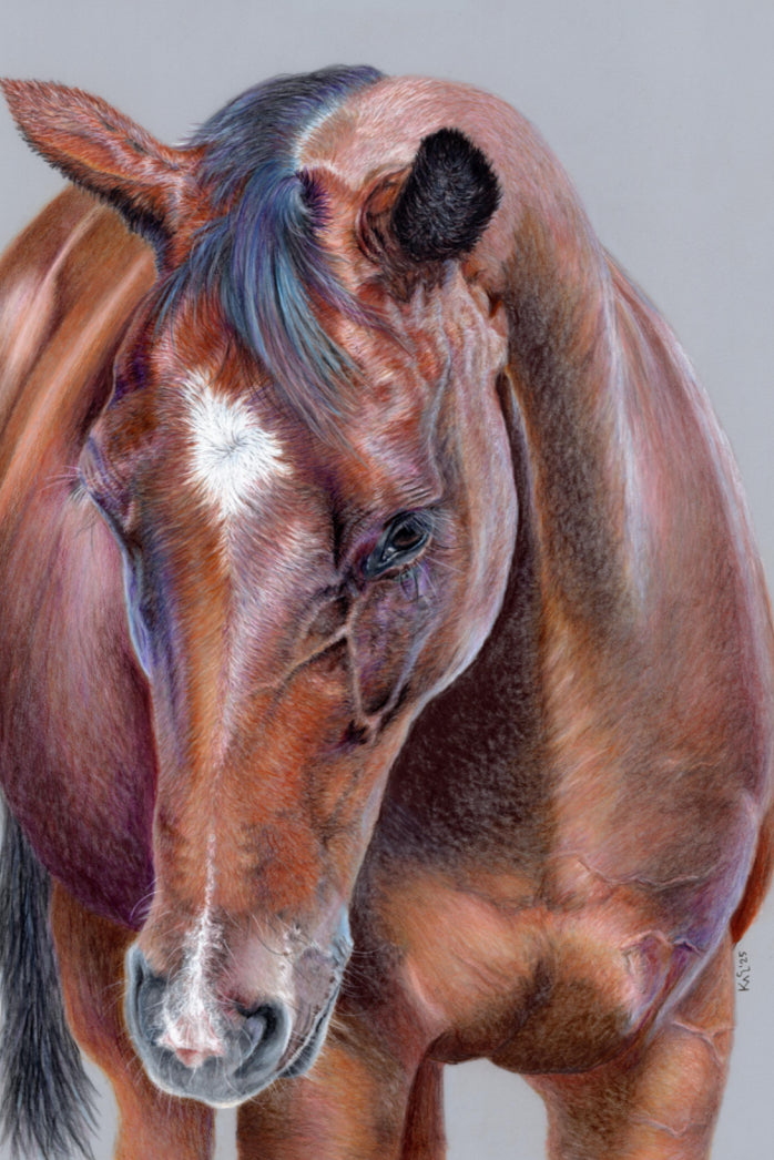 "Beauty At Bay" Canvas Print