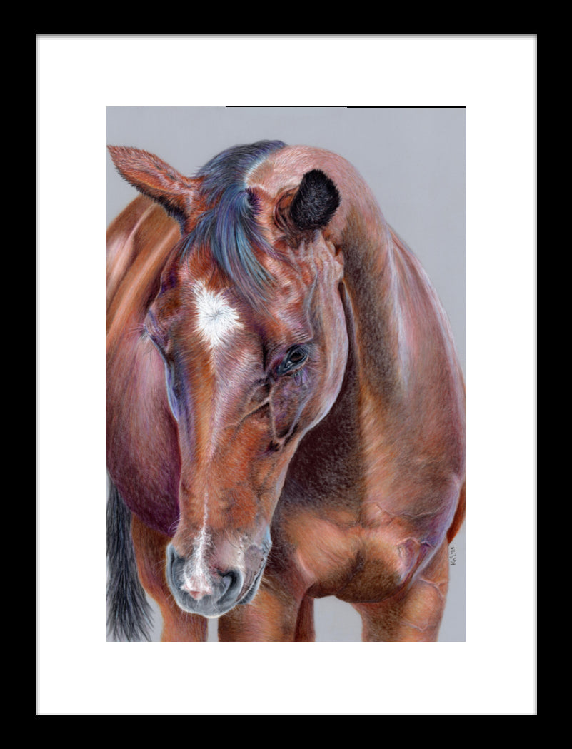 "Beauty At Bay" Framed Fine Art Print