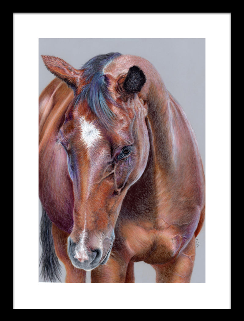 "Beauty At Bay" Framed Fine Art Print