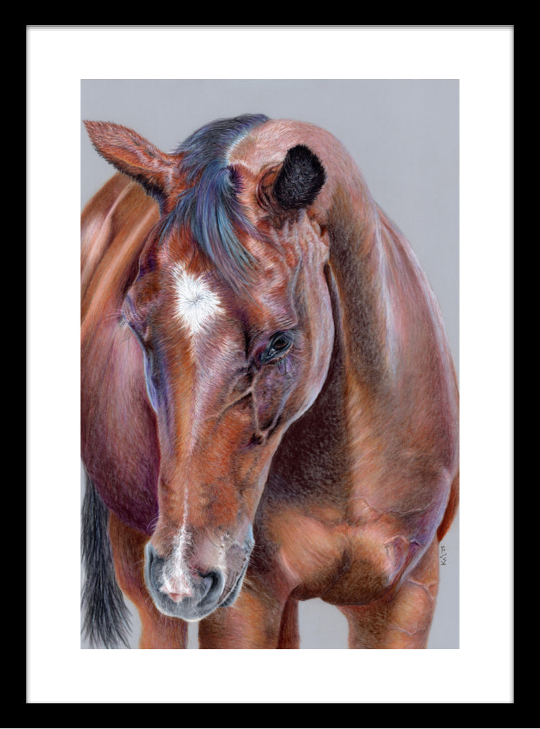 "Beauty At Bay" Framed Fine Art Print