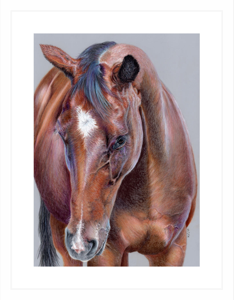 "Beauty At Bay" Framed Fine Art Print