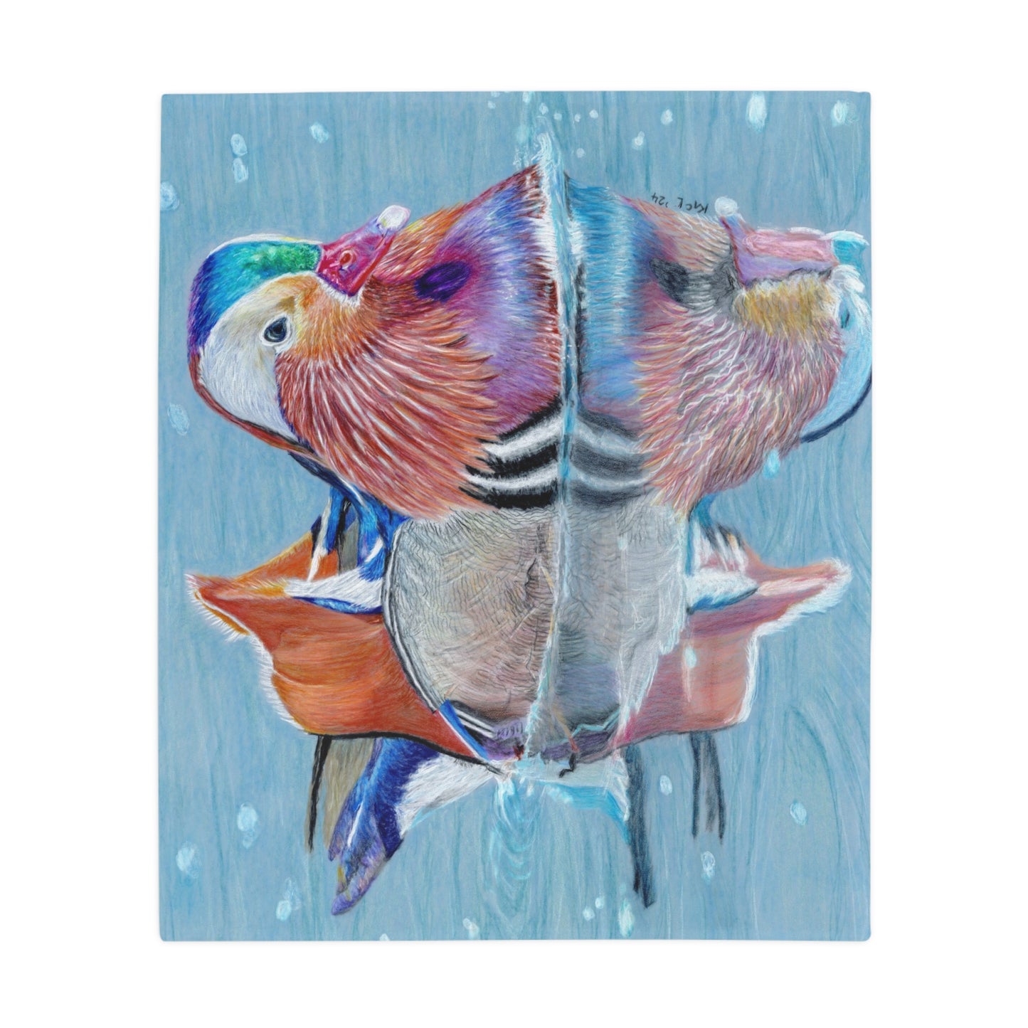 Best Friends Blanket