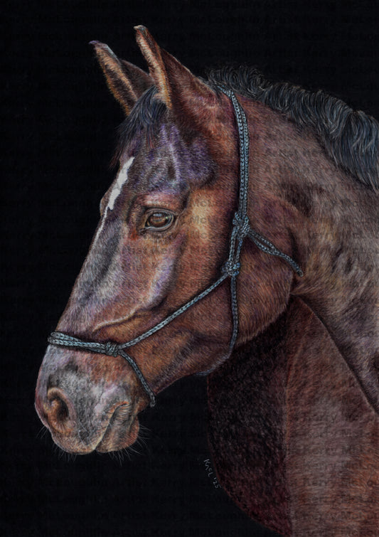 "Unreined Majesty" Framed Fine Art Print