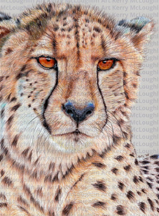 "TISM (This Is Serious Mum)" Unframed Fine Art Print