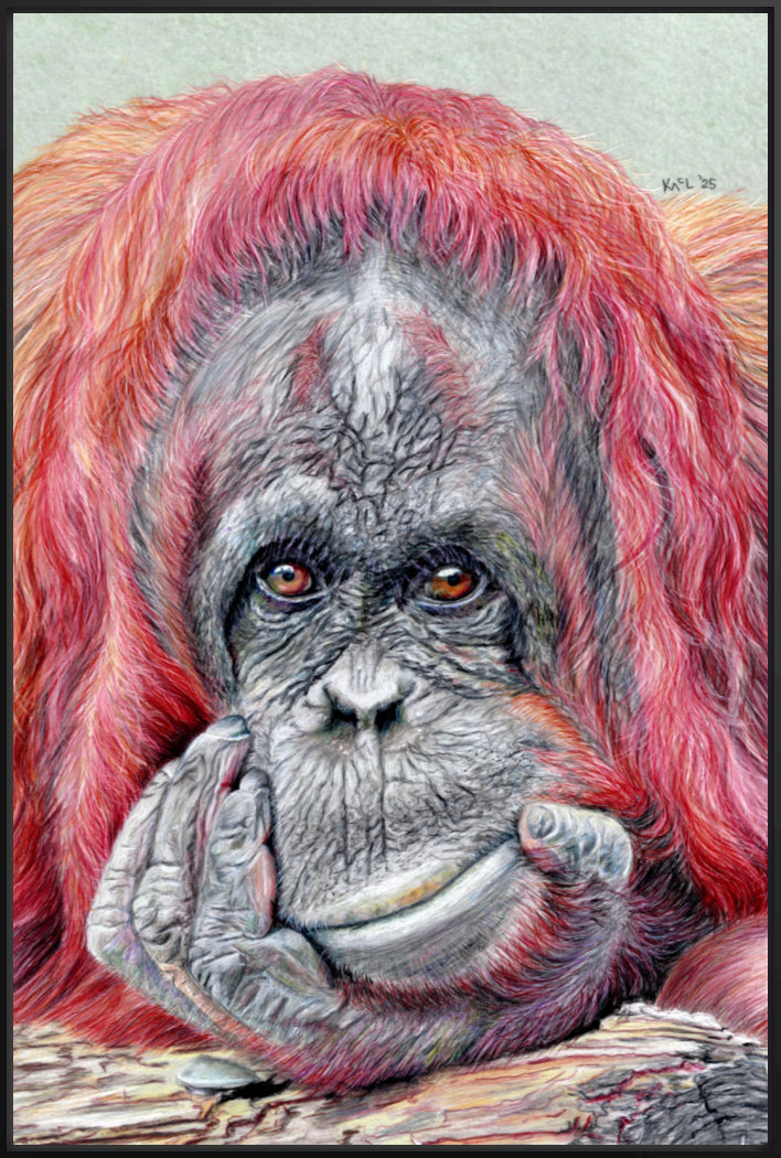 "Contemplation" Canvas Print