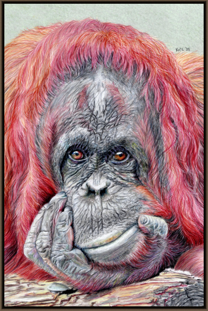 "Contemplation" Canvas Print