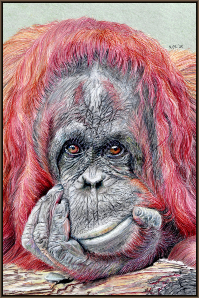 "Contemplation" Canvas Print