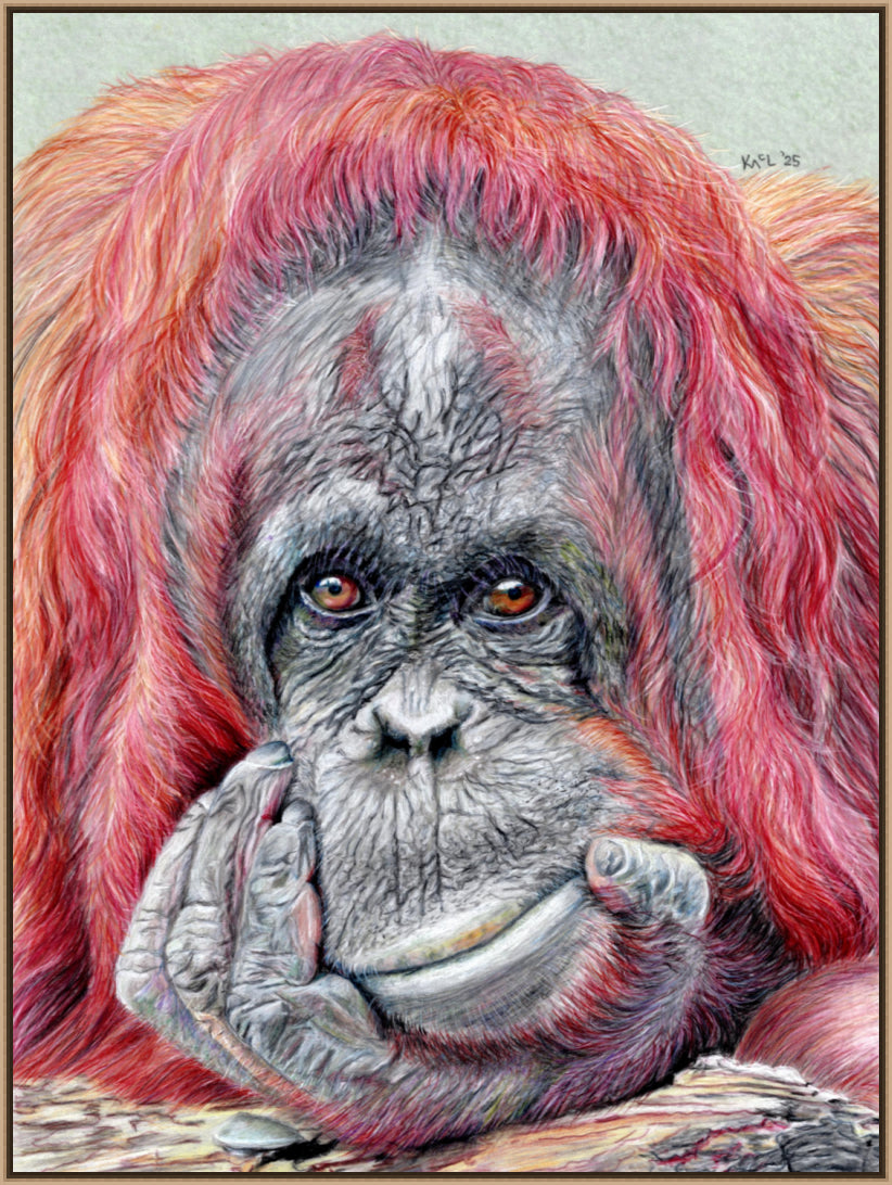 "Contemplation" Canvas Print