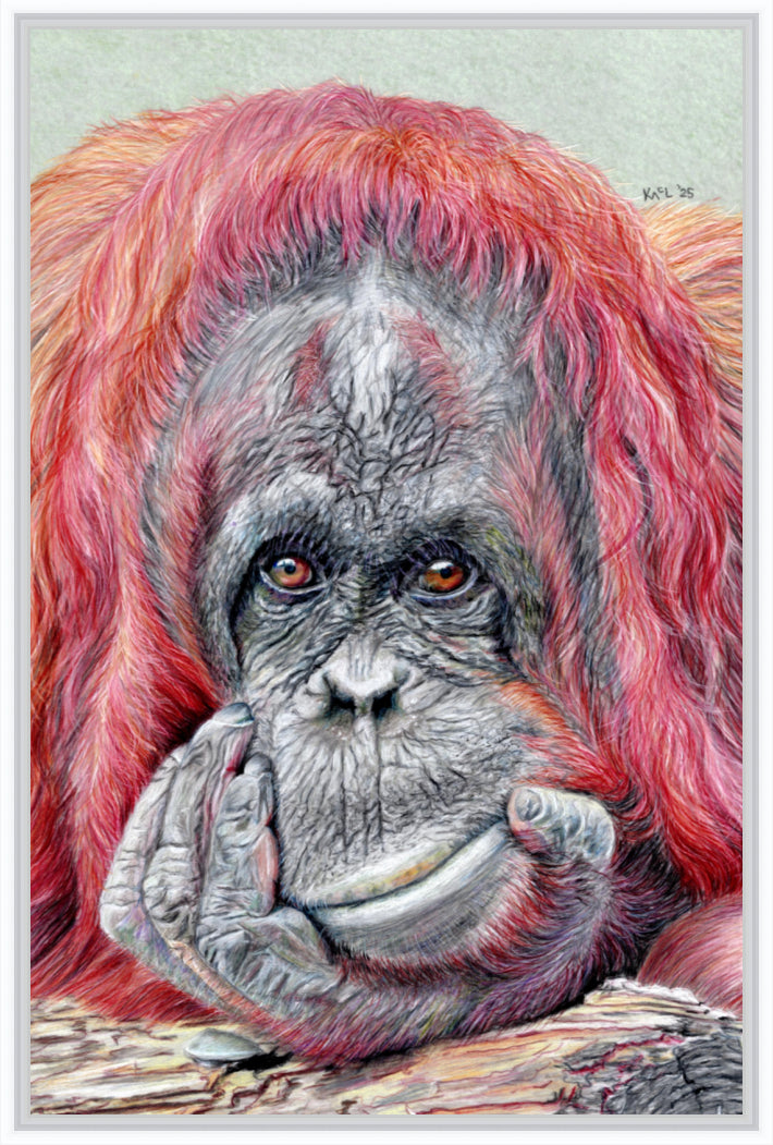 "Contemplation" Canvas Print