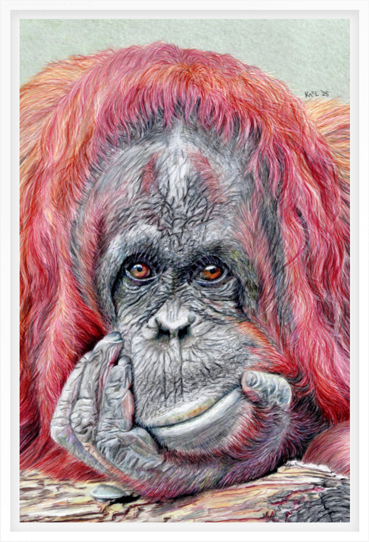 "Contemplation" Canvas Print