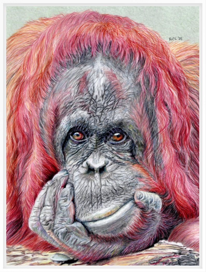"Contemplation" Canvas Print