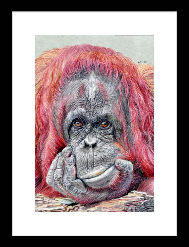 "Contemplation" Framed Fine Art Print