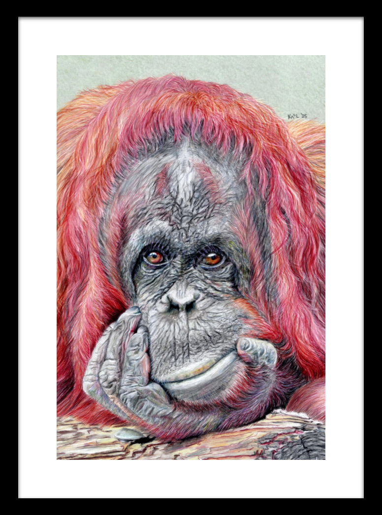 "Contemplation" Framed Fine Art Print