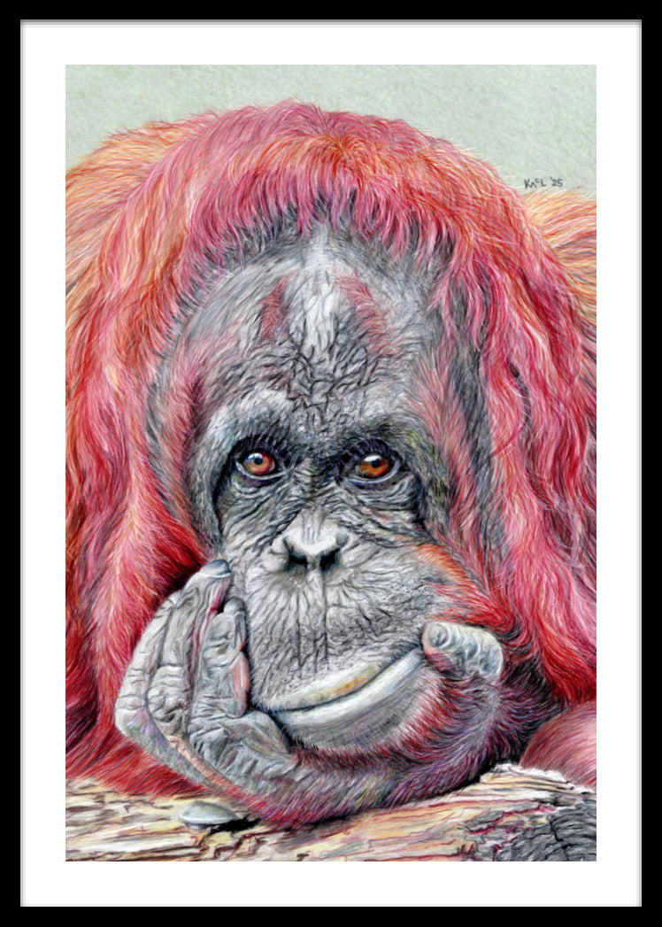 "Contemplation" Framed Fine Art Print