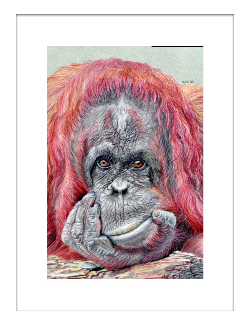 "Contemplation" Framed Fine Art Print