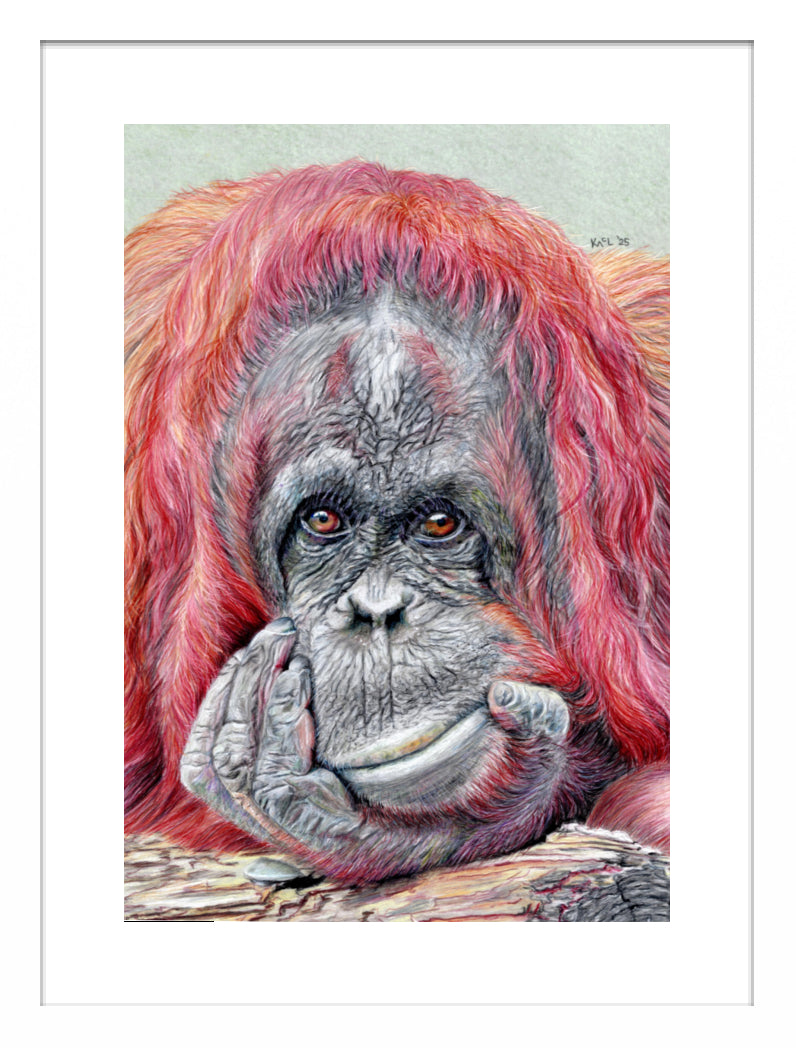 "Contemplation" Framed Fine Art Print