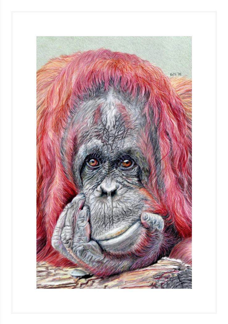 "Contemplation" Framed Fine Art Print