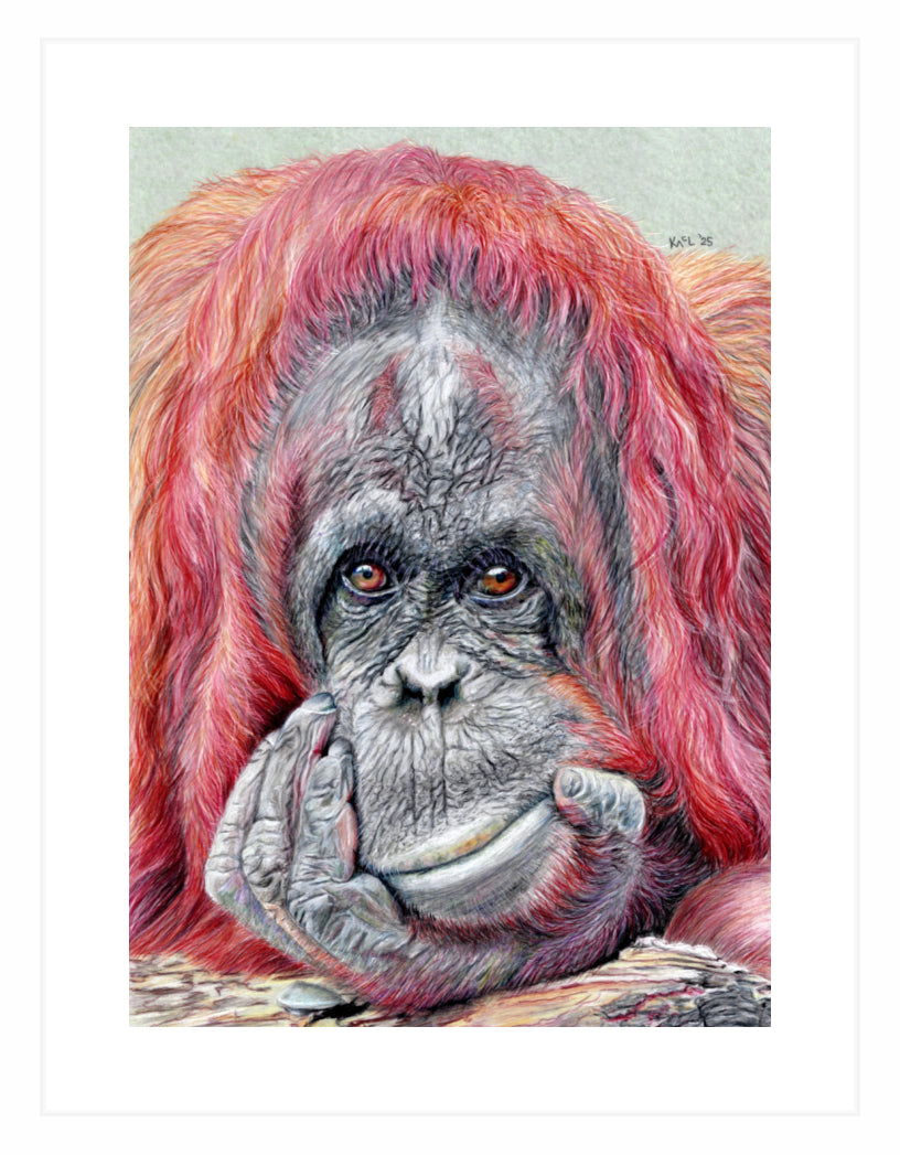 "Contemplation" Framed Fine Art Print