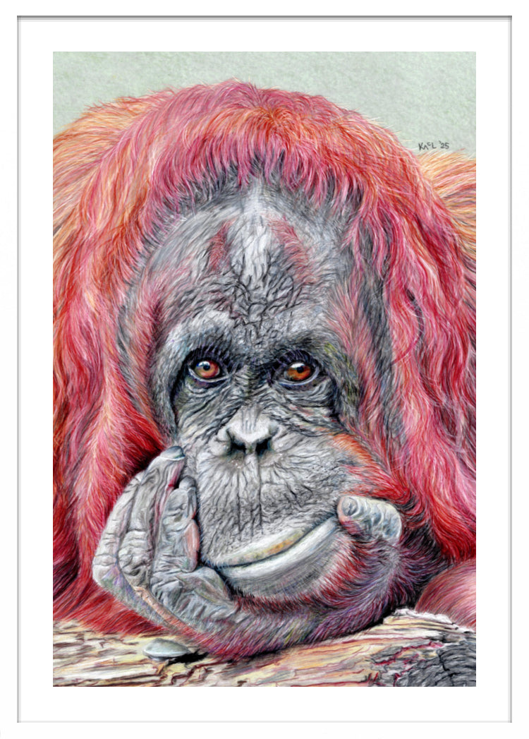 "Contemplation" Framed Fine Art Print