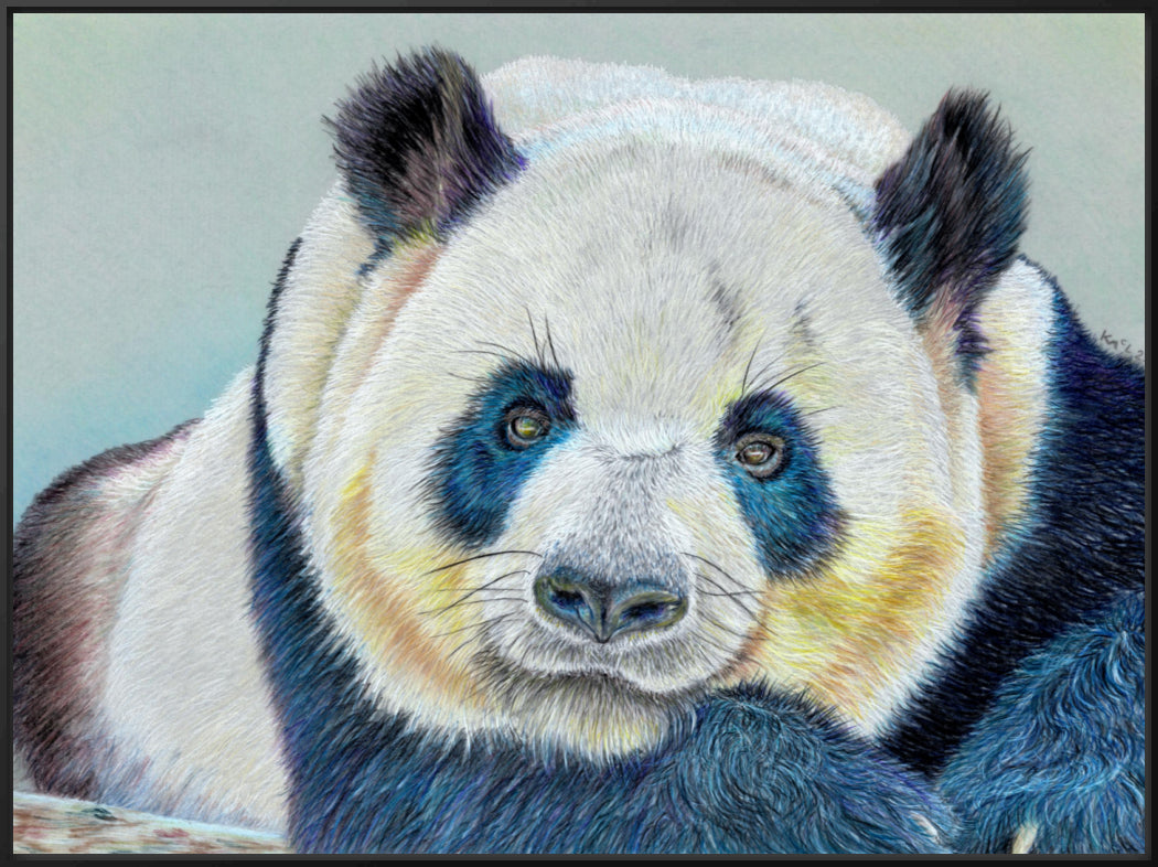 "Daydreamer" Canvas Print