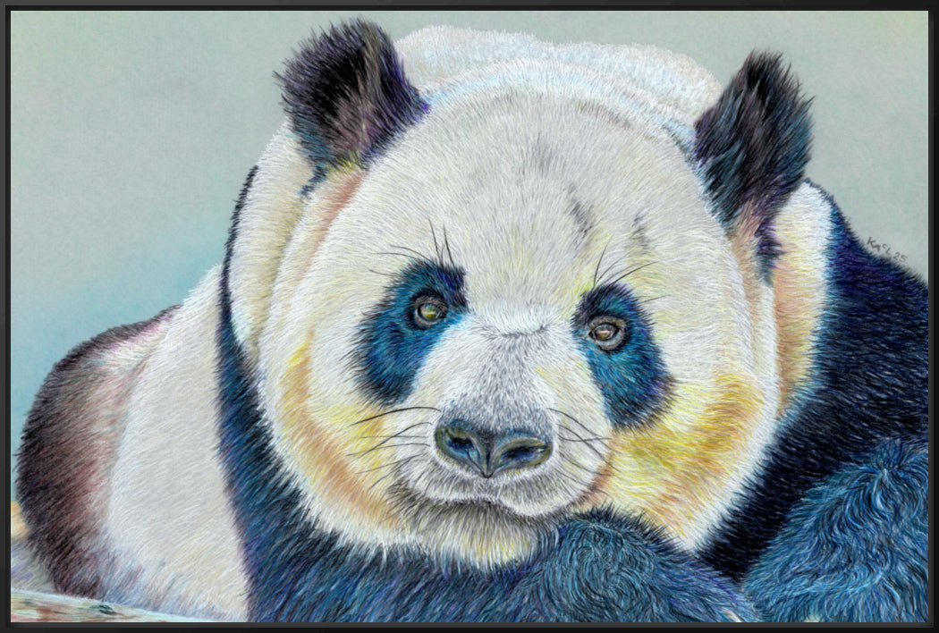 "Daydreamer" Canvas Print