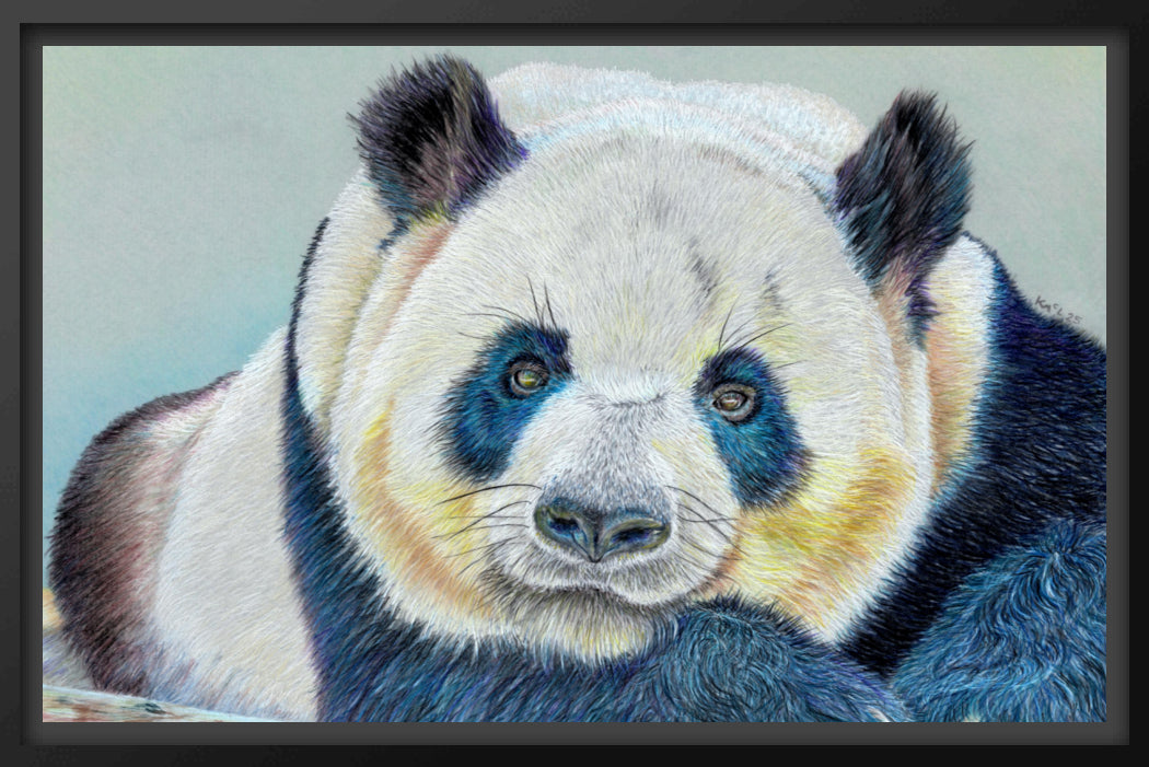 "Daydreamer" Canvas Print