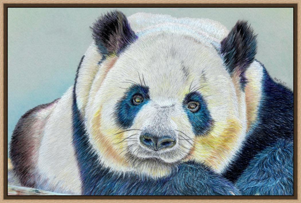 "Daydreamer" Canvas Print