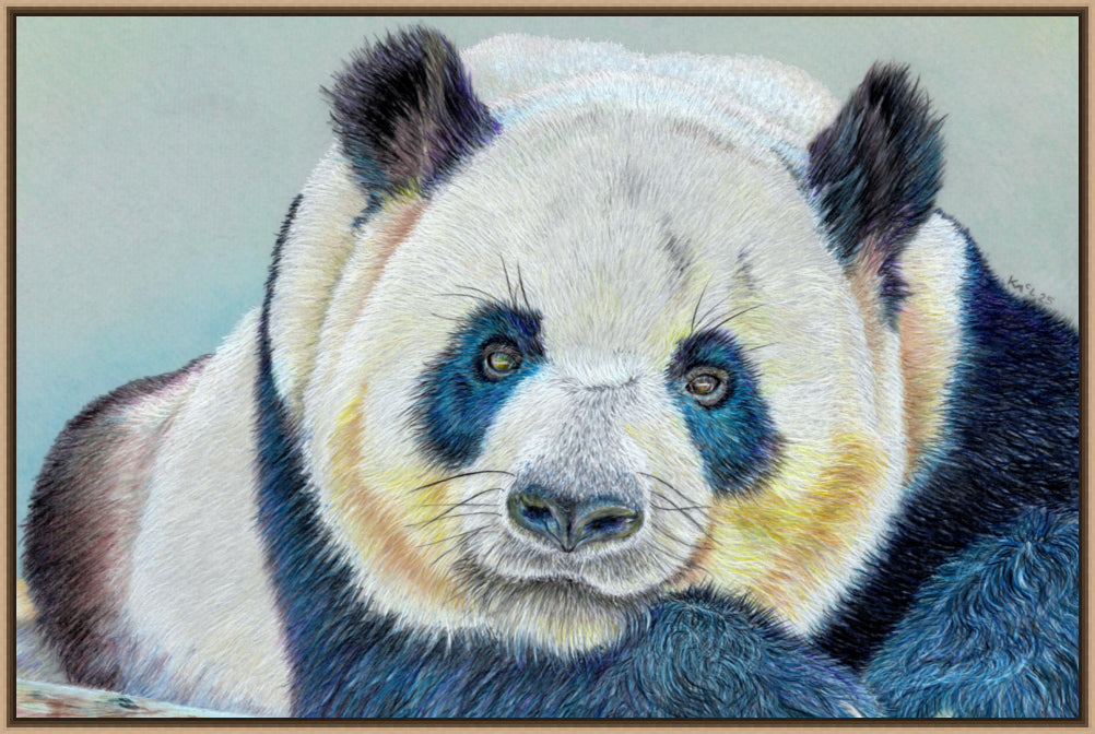 "Daydreamer" Canvas Print